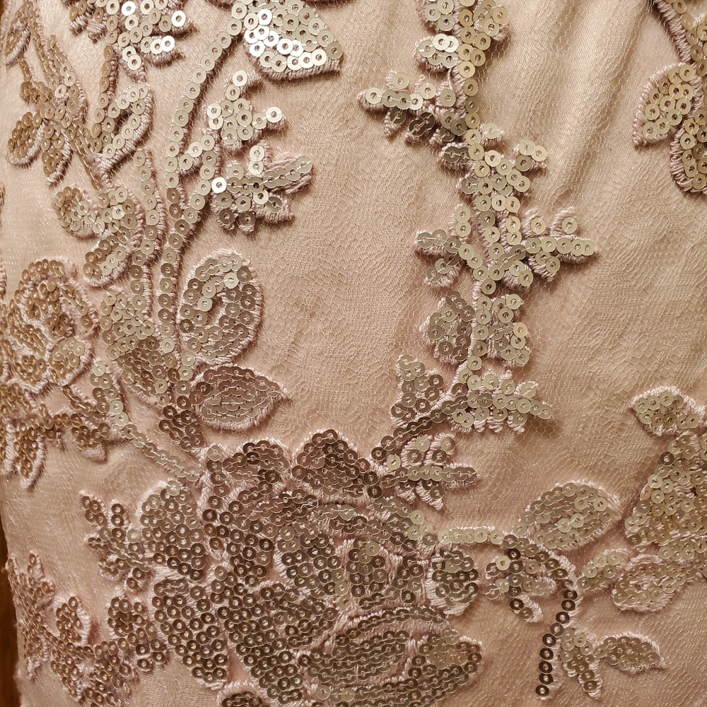 Eliza J Elegant Lace Dress size 4 New With Tags - Picture 5 of 14